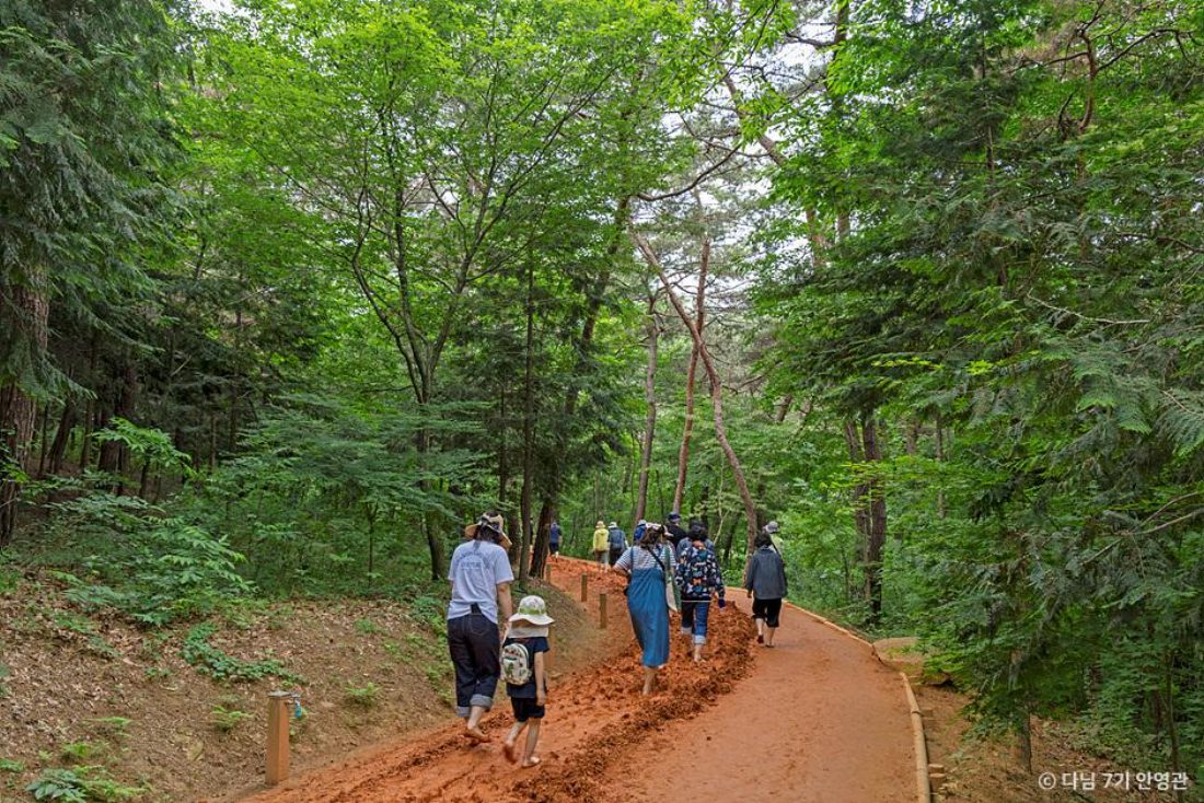 영광을 담다, 체류형 명품여행 1박2일