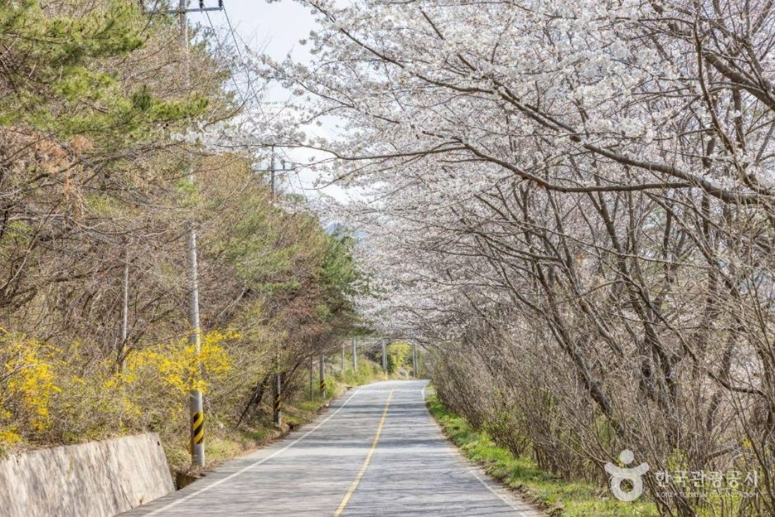 동부권·서부권