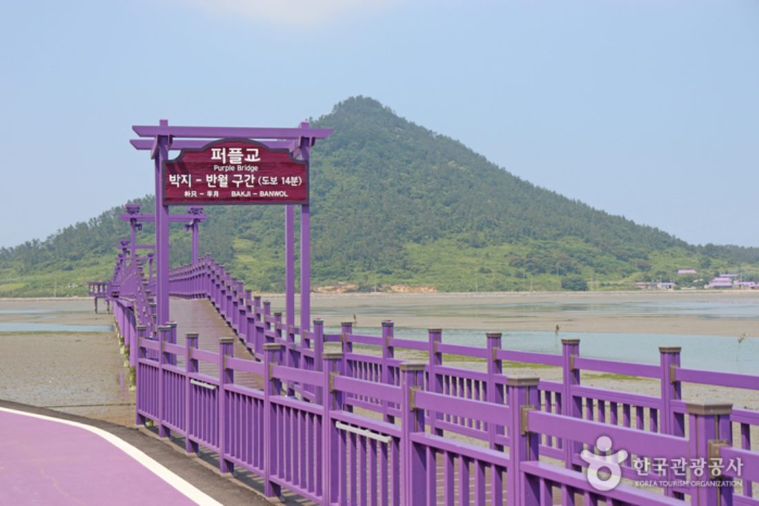 신안 중부권 잇섬투어