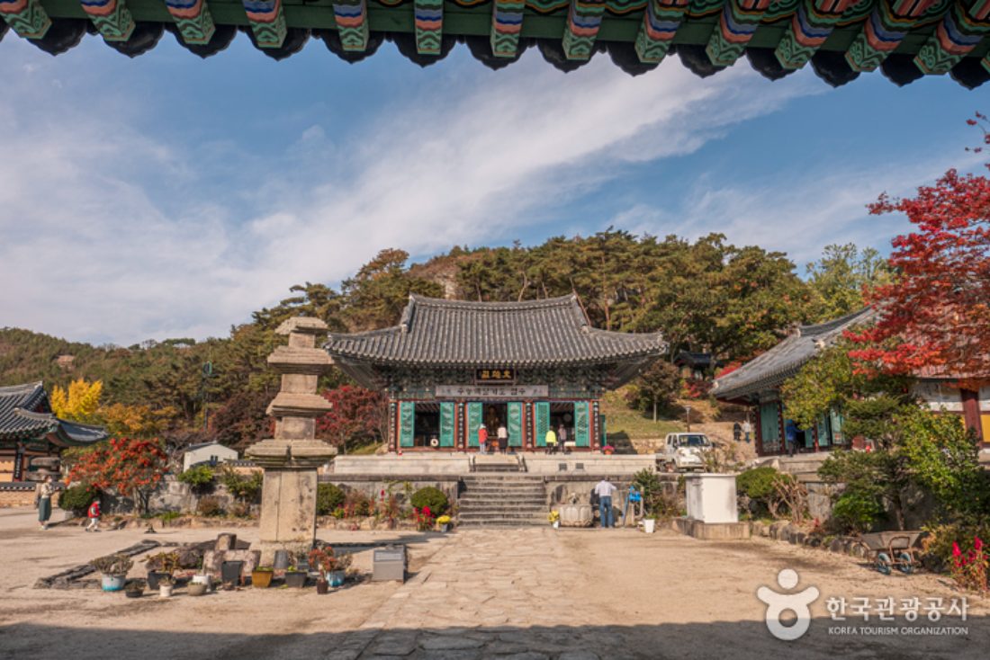 화순/보성/고흥 시크릿투어