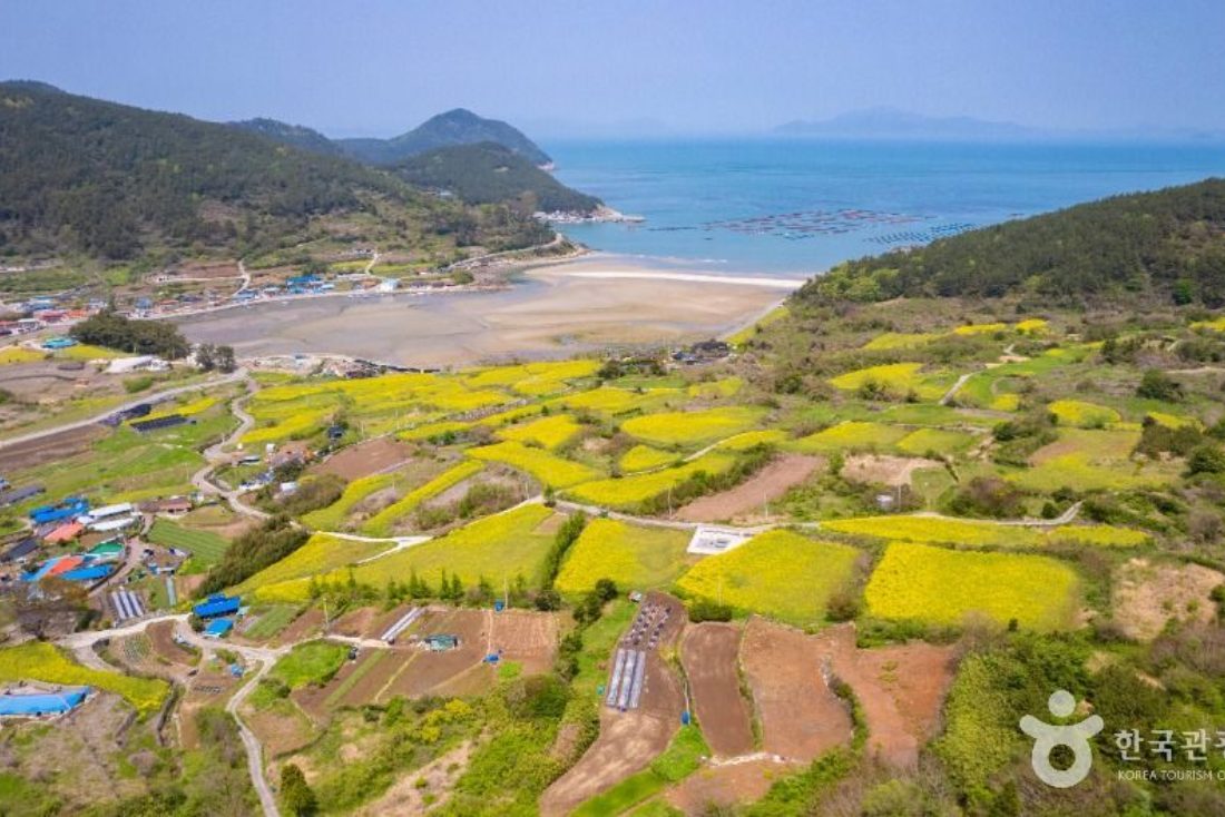 청산도 힐링 여행